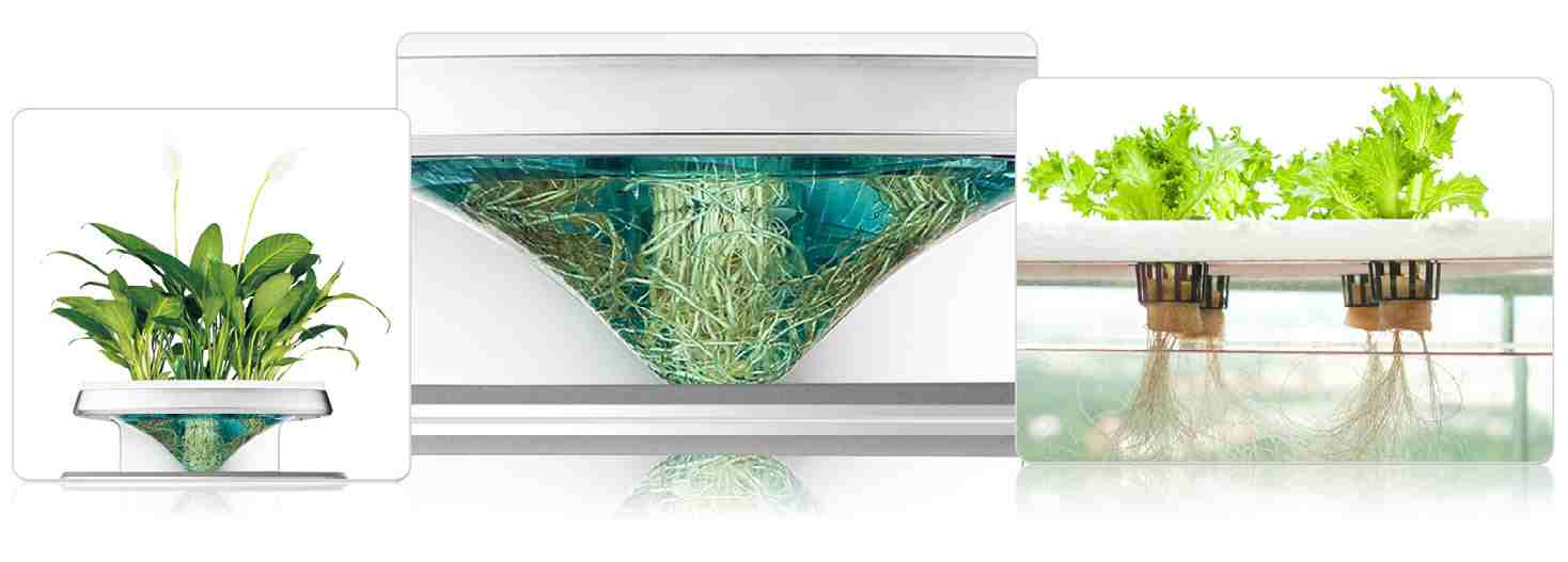 Oczyszczacz powietrza Lavender 3 – rośliny