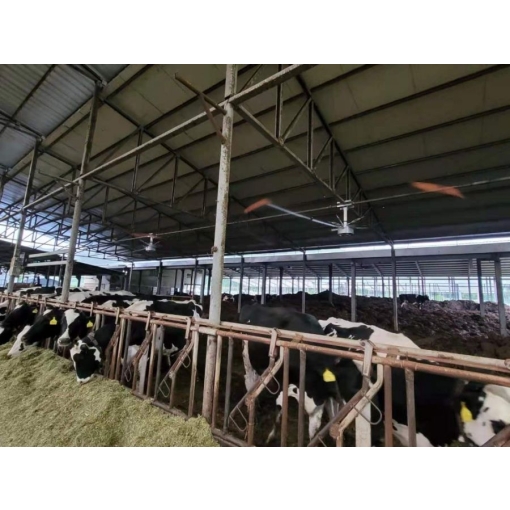 Wentylator Ama Tech HELICOPTER - zastosowanie