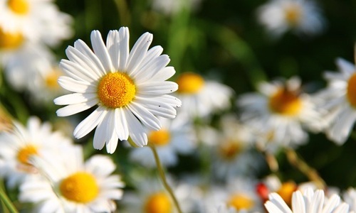 02.05.2025 - nasze biuro będzie nieczynne